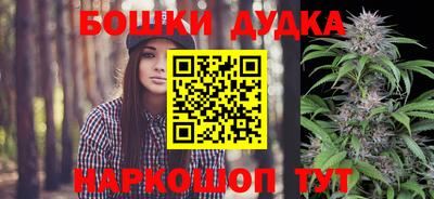 индика Абакан