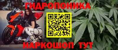 индика Абакан