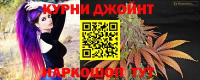 индика Абакан