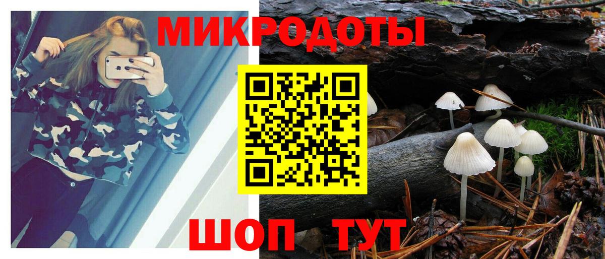 Галлюциногенные грибы MAGIC MUSHROOMS  Вход с VPN  продажа наркотиков  Анжеро-Судженск 